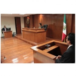 Juridico Penalista Adversarial  despacho abogados